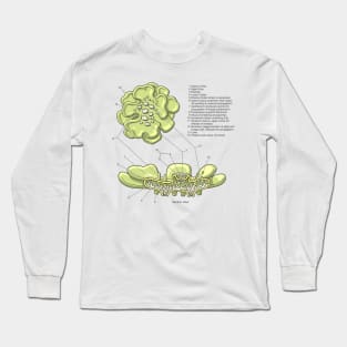 Lichen Structure Diagram Long Sleeve T-Shirt